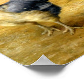 schönes Postergemälde aus Vintage 21 Poster (Ecke)