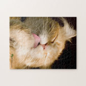 Schönes Preening Maine Coon Nah Up Fotografie Puzzle (Horizontal)