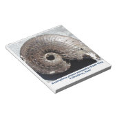 Schönes Pyritenammonialfossilon mit Nässen Notizblock (angewinkelt)