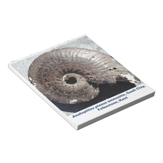 Schönes Pyritenammonialfossilon mit Nässen Notizblock (angewinkelt)