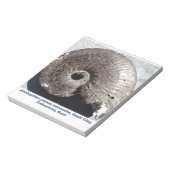 Schönes Pyritenammonialfossilon mit Nässen Notizblock (Rotiert)