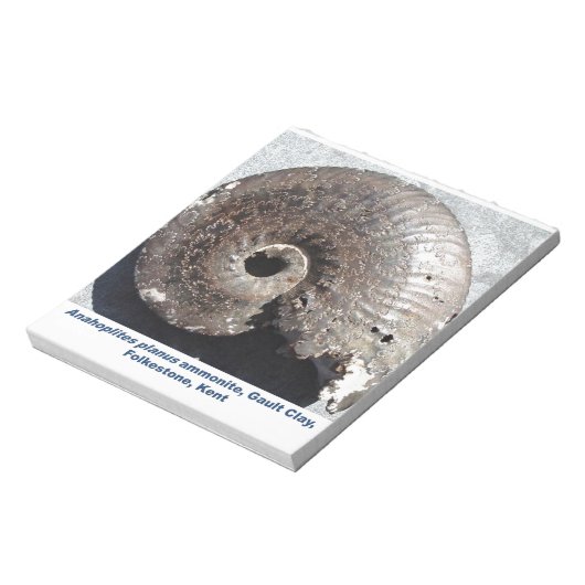 Schönes Pyritenammonialfossilon mit Nässen Notizblock (Rotiert)