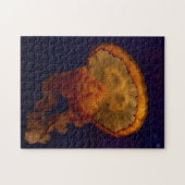 Schönes Quallenpuzzle Foto Puzzle (Horizontal)