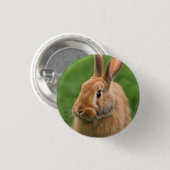 Schönes Rabbit Button (Vorne & Hinten)