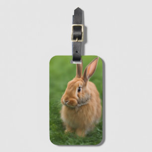 Schönes Rabbit Gepäckanhänger