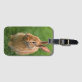 Schönes Rabbit Gepäckanhänger (Vorderseite (Horizontal))