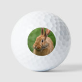 Schönes Rabbit Golfball (Vorderseite)