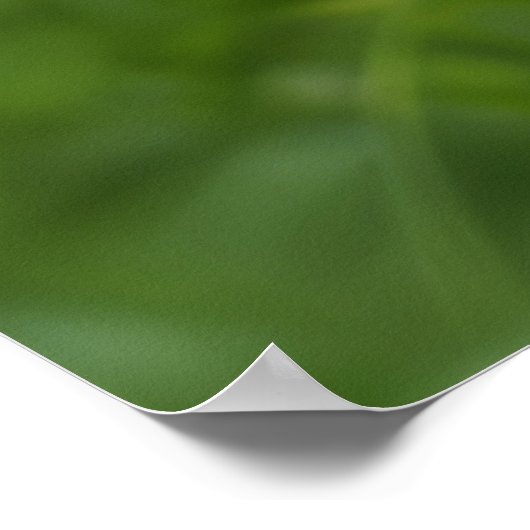 Schönes Rabbit Poster (Ecke)