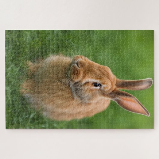 Schönes Rabbit Puzzle (Horizontal)