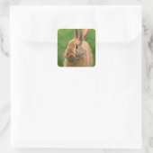 Schönes Rabbit Quadratischer Aufkleber (Tasche)