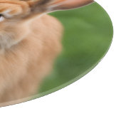 Schönes Rabbit Schneidebrett (Ecke)