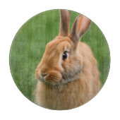 Schönes Rabbit Schneidebrett (Vorderseite)