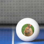 Schönes Rabbit Tischtennisball (Netto)