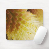 Schönes Radiant Torch Lily Nah-Up Foto Mousepad (Mit Mouse)