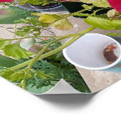 Schönes Rannunculus Frühlingsblume Garten Poster (Ecke)