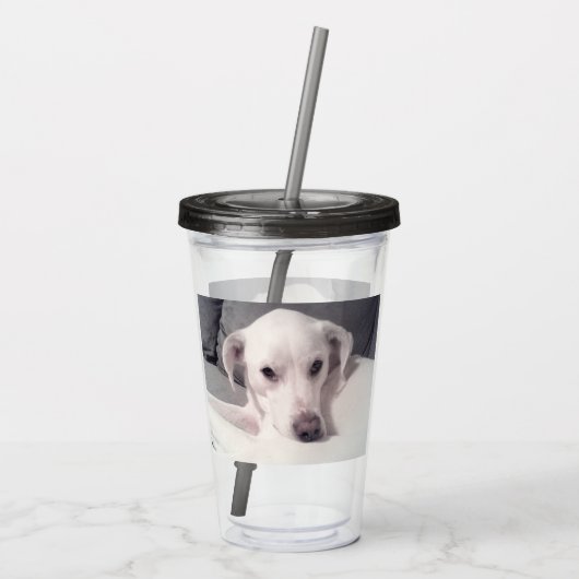 Schönes Regal White Labrador Mix Dog Gray Acryli Acryltrinkbecher (Rückseite)