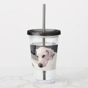 Schönes Regal White Labrador Mix Dog Gray Acryli Acryltrinkbecher