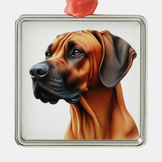 SCHÖNES RHODESIAN RIDGEBACK DOG ORNAMENT AUS METALL (Vorne)