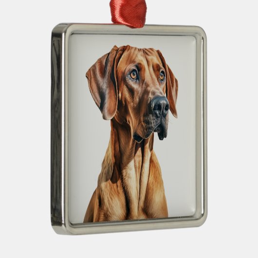 SCHÖNES RHODESIAN RIDGEBACK DOG ORNAMENT AUS METALL (Rechts)