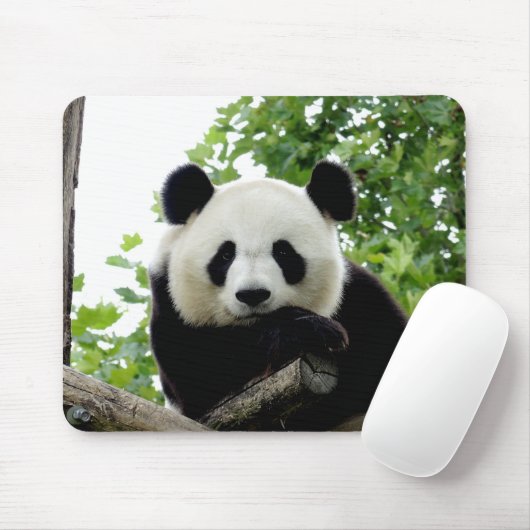Schönes Riant Panda Mouse Pad Mousepad (Mit Mouse)