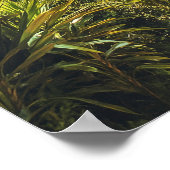 Schönes Rio de janeiro Brasilien Reisen Poster (Ecke)