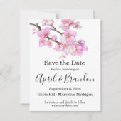 Schönes rosa Aquarellkirschenskript Save The Date (Vorderseite)