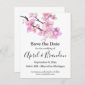 Schönes rosa Aquarellkirschenskript Save The Date (Vorne/Hinten)