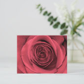 Schönes Rosa Blume Foto Postkarte (Stehend Vorderseite)