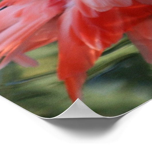 Schönes rosa Flamingo Poster. Poster (Ecke)