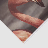 Schönes rosa Flamingo-Zinnpapier Seidenpapier (Ausschnitt)