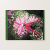 Schönes rosa Kaladium-Puzzle Puzzle (Horizontal)