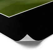 Schönes rosa Mohnfoto Nah-Up-Foto Poster (Ecke)