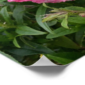 Schönes rosa Penstemon Blumengarten Poster (Ecke)