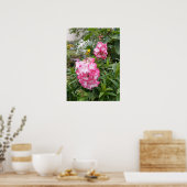 Schönes rosa Penstemon Blumengarten Poster (Küche)