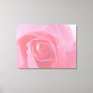 Schönes rosa Rosa Blume Makro-Bild. Leinwanddruck