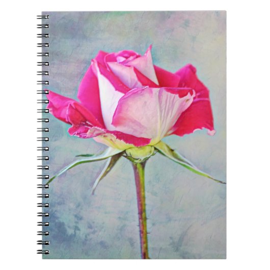 Schönes rosa Rose Künstlerisch-Journal-Notebook Notizblock (Vorderseite)