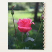 Schönes rosa Rose Macro Foto Planer (Rückseite)