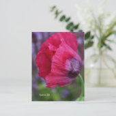 Schönes Rosa und Lila Mohn Postkarte (Stehend Vorderseite)