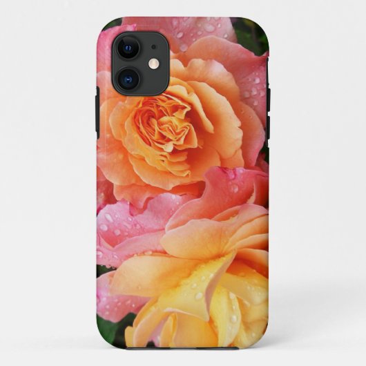 Schönes rosa und orange Rose Foto Case-Mate iPhone Hülle (Rückseite)