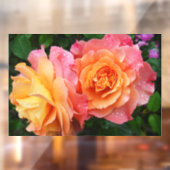Schönes rosa und orange Rose Foto Fensteraufkleber (Blatt 2)