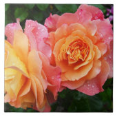 Schönes rosa und orange Rose Foto Fliese (Vorderseite)