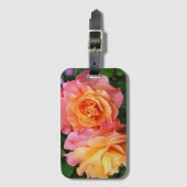 Schönes rosa und orange Rose Foto Gepäckanhänger (Vorderseite Vertikal)