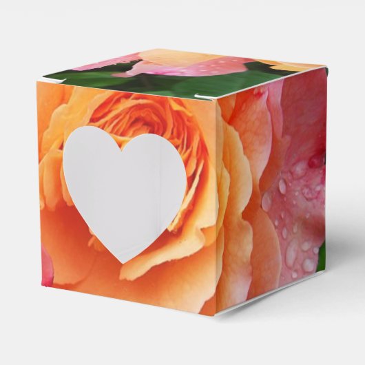 Schönes rosa und orange Rose Foto Geschenkschachtel (Vorderseite)