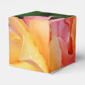 Schönes rosa und orange Rose Foto Geschenkschachtel (Rückseite)