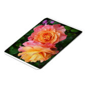 Schönes rosa und orange Rose Foto Magnet (Linke Seite)