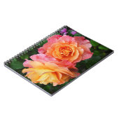 Schönes rosa und orange Rose Foto Notizblock (Linke Seite)