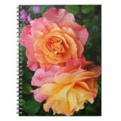 Schönes rosa und orange Rose Foto Notizblock (Vorderseite)