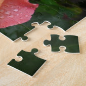 Schönes rosa und orange Rose Foto Puzzle (Seite)