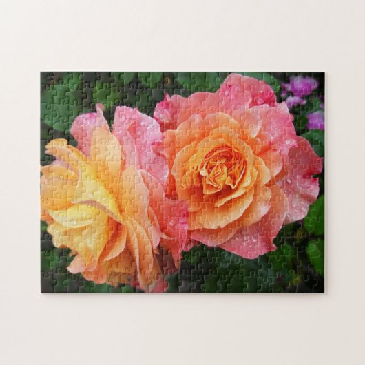 Schönes rosa und orange Rose Foto Puzzle (Horizontal)