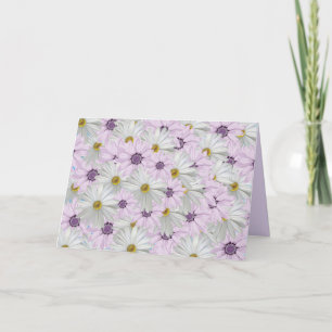 Schönes Rosa und Weiße Daisy Blumengrüße Karte